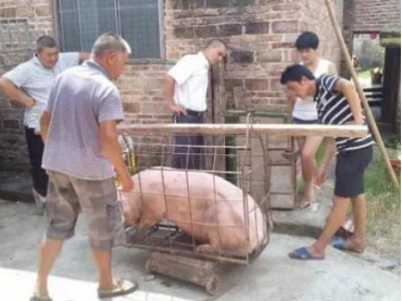 1715829680209837.png 45c79d5164c8c85ecbcd38b8b053a05.png