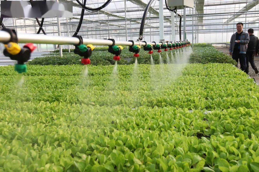 1757464117137660.jpeg 1757464117137660.jpeg